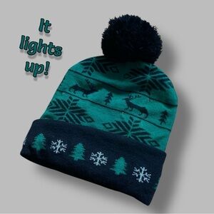 Light Up Winterr Holiday Beanie Tossel Cap Multicolor Lights Green Black